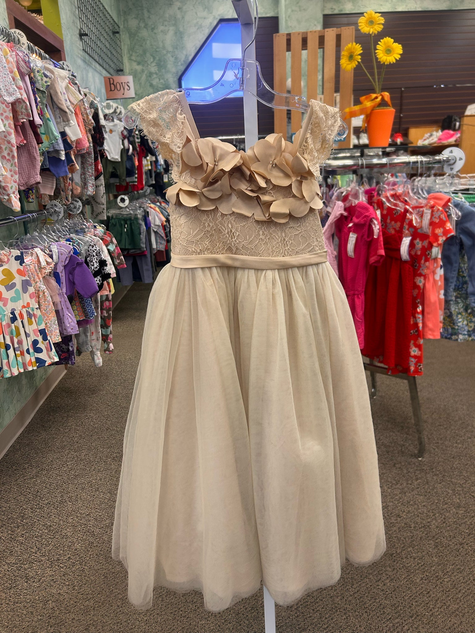 New with Tag AZAZIE Tan Lace GIRLS SZ: 6 Short Sleeve Girls Dress