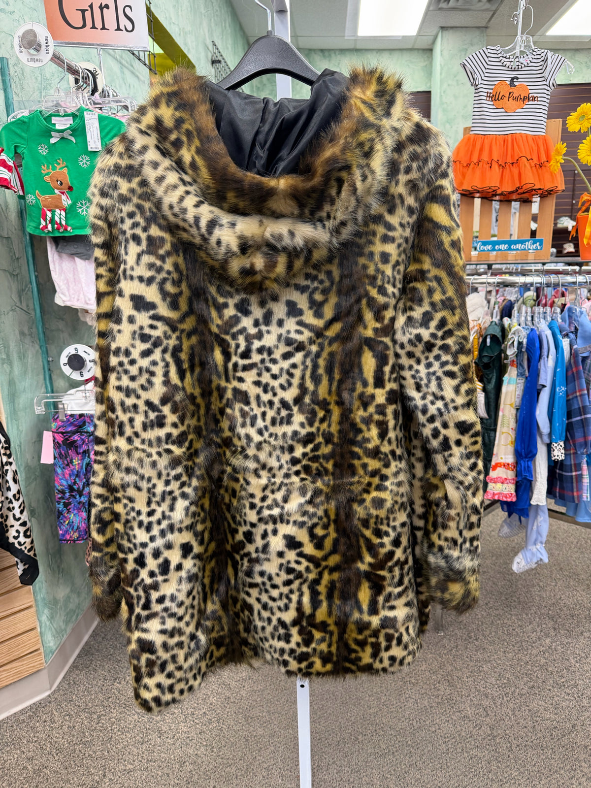 New with Tag PAMELA MCCOY Leopard Brown Size: 1XL Designer Coat