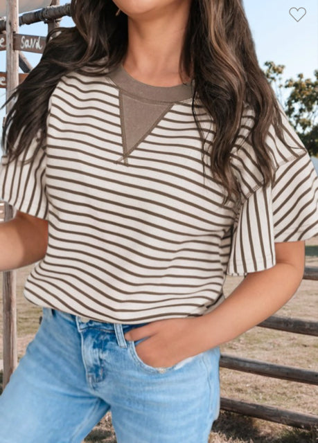 New FW Brown stripe Size S Short Sleeve Blouse